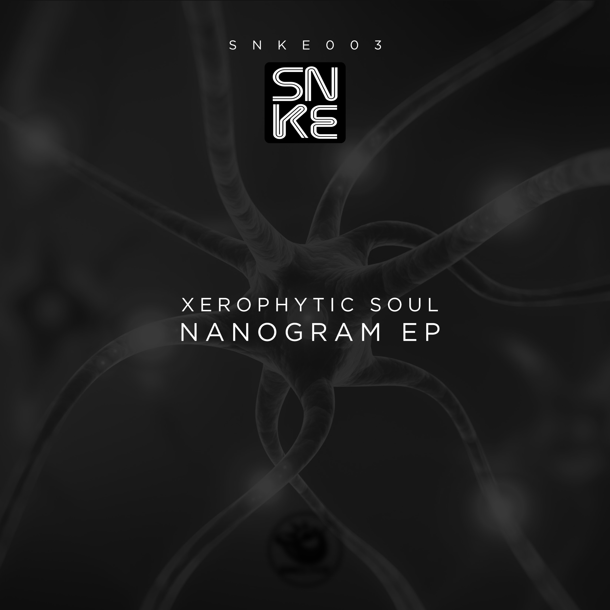 Xerophytic Soul - Nanogram Ep - SNKE003 Cover